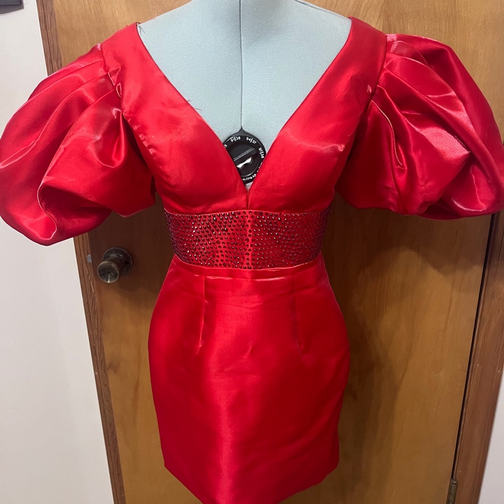 Elegant Red Puff Sleeve Ashley Lauren Dress